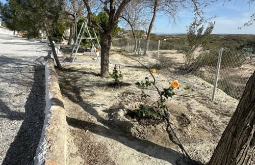 Alojamientos CUEVAS TIANA - Photo 20