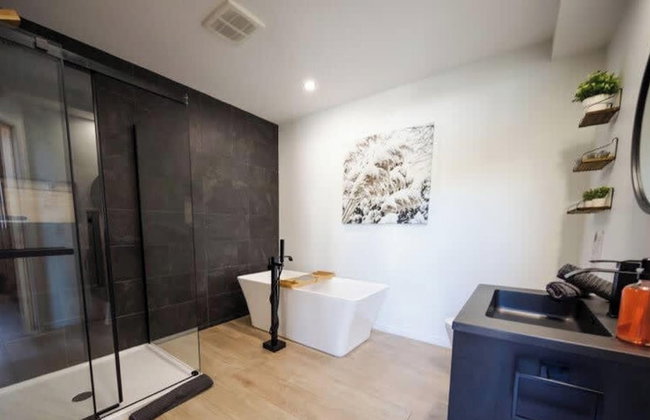 Sommet- Pet Friendly- Spa- SKI IN SKI OUT St-c me - Foto 14