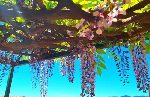 Sunset Manarola - Foto 16
