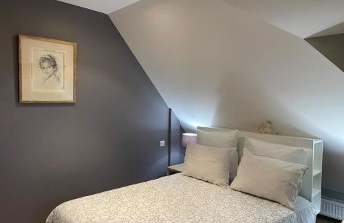 LE MAS maison vue sur Loire jardin 4 - Foto 6