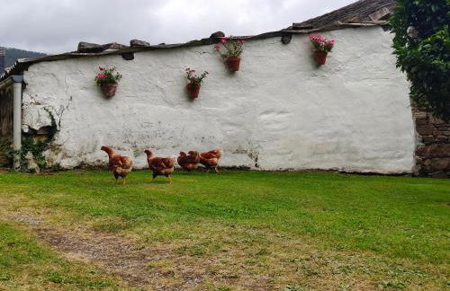 La casa de atrás - Foto 17