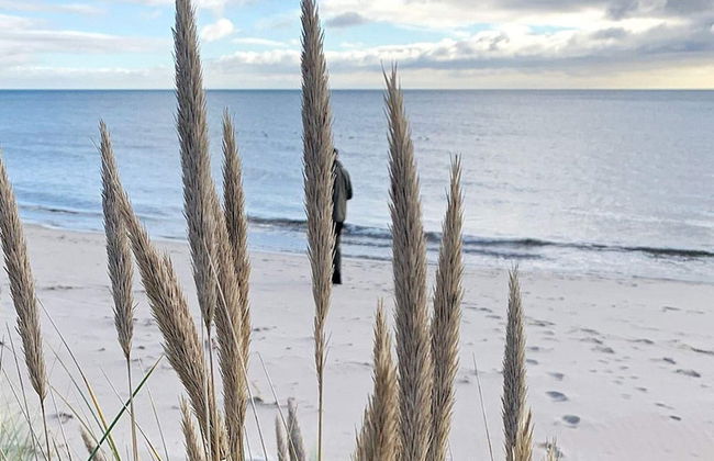 4 Person Holiday Home in Yngsjo, Sverige-by Traum - Foto 22