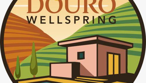 Douro Wellspring - Foto 5