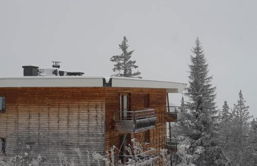 Silènes B33 à Chamrousse 1700 aux Domaines de l'Arselle - Foto 12