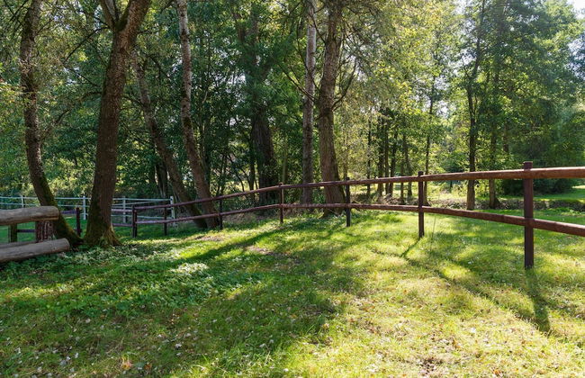 Blockhauser auf Reiterhof in Eschede - Foto 70