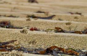 Villa Ty Koad 4 étoiles Piscine Intérieure 28C Plage et GR34 à 50m - Foto 76