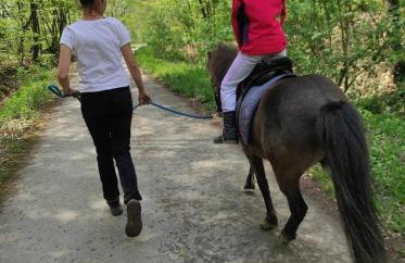 Old house by the stream - Photo 60