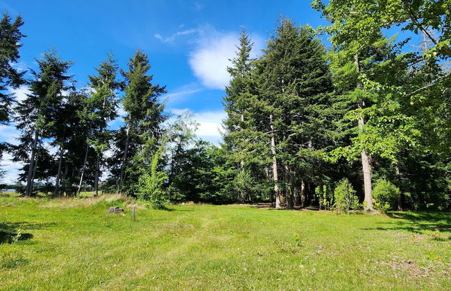 Manapouri Holiday Park - Foto 42