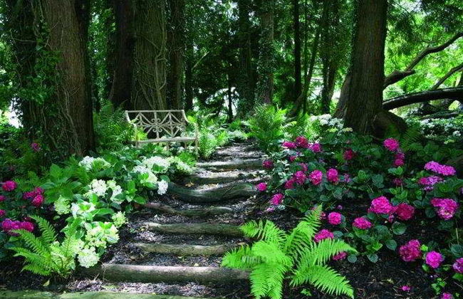 Summer Lodge Country House Hotel - Photo 1