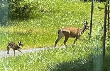 Perch - Baker's Acres - Foto 24