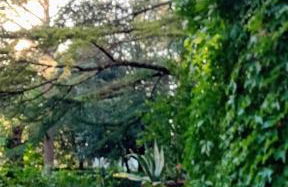 I Gelsi di Colombata Locazione turistica breve in campagna - Foto 13