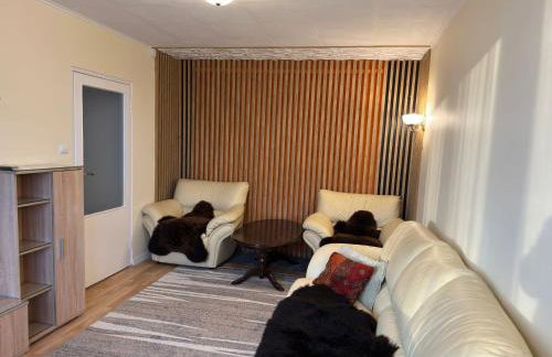 Apartament Bazyliańska - 100m do Metra "Bródno", 20 minut do centrum Warszawy - Foto 13