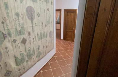 Domo Rosada - Foto 12