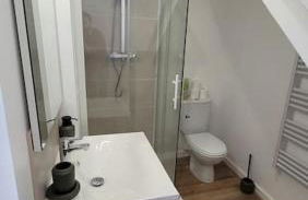 Bel Appart' 3 chambres 3 Sdb au centre-ville St Etienne - Foto 16