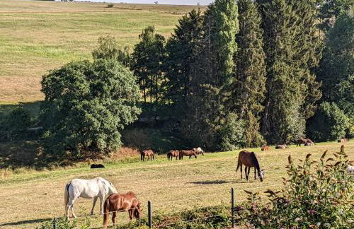 Eifel-Ferienhaus Landblick - Foto 35