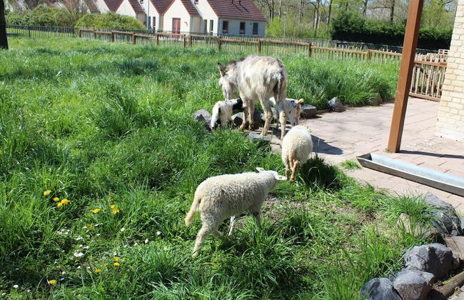 Holiday Home in Nijmegen With Garden Terrace - Foto 22