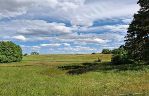 Wohnung in Lütow nahe Ostseestrand - Foto 18