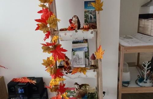 Gîte spacieux près du zoo de Beauval avec cour privative, terrasse, et équipements complets - FR-1-591-371 - Foto 22