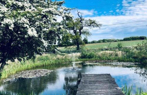Luxury Barn with 3 ensuite Bedrooms Nr Southwold - Foto 23