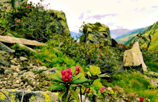 Holiday Home Muhr Near Katschberg Ski Area - Foto 30