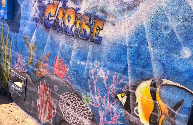 Casa Caribe - Foto 31