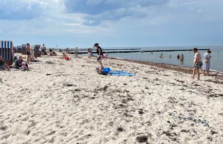 Ostsee-Ferienwohnung-Lipsia - Foto 22
