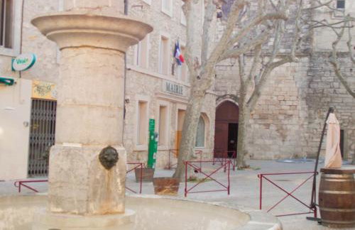 la saline - Foto 13