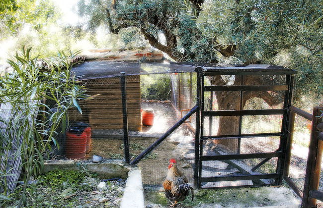 Ampelos Estate - Foto 29