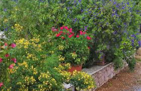 Manto Studios - Photo 31