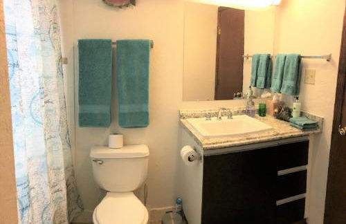 OU-Walk to Campus , Downtown ; Designer Studio - Foto 78