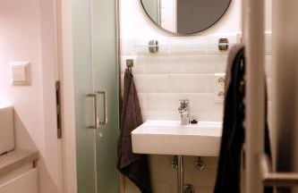 Blaue Gans - Foto 19