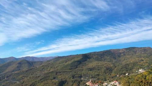 Green House 2.0 - Photo 4