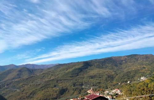 Green House 2.0 - Photo 4