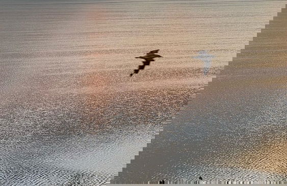 Perfect Lake view Entire Apartment - Photo 14