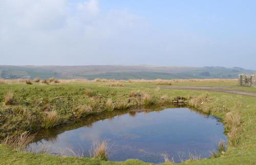 Greenrigg Cottage - Foto 17