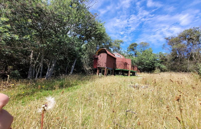 Glamping Paraiso de Tausa - Photo 64