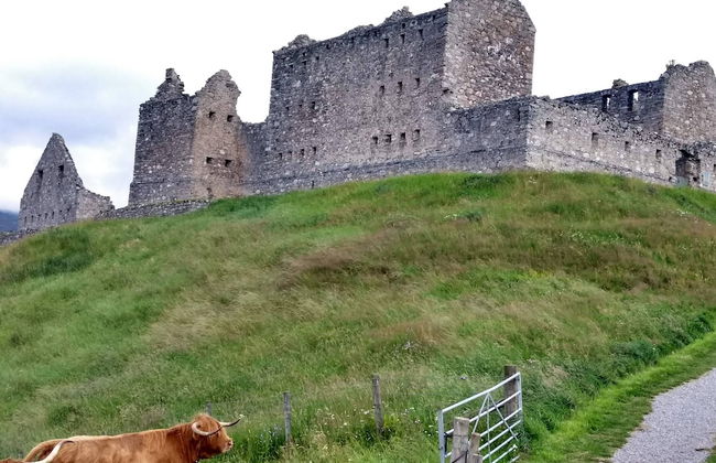 Ardvonie House - Foto 32