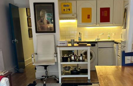 Comfy child/dog friendly garden flat heart Camden - Foto 24