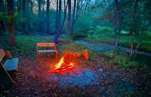 Crabapple-Secluded cabin with pond creek access, hot tube, fire pit in Blue Ridge - Photo 38