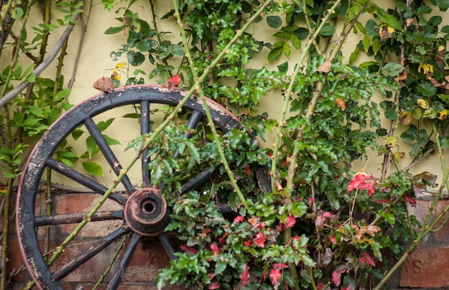 Country House Stara Kapela - Foto 44