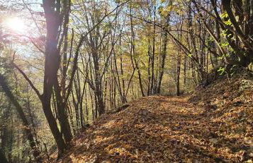 Chalet Vito - Where Luxury Meets Tranquility - Foto 37