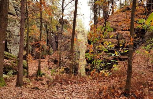 chicke Ferienwohnung in Struppen - Foto 19