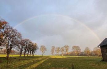 Ferienhaus Q1, Ruhe und Erholung in der Eifel - Foto 15