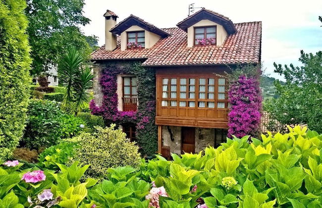 Trisqueles y Buganvillas - Photo 39