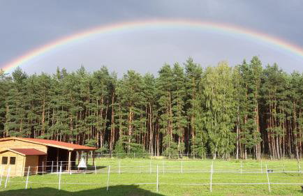 Agroturystyka Polana Harmonii - Foto 24