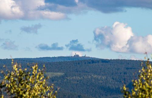 Apartment Bergwiese I Balkon I Aufzug I Stellplatz - Foto 23