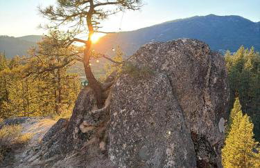 The Domestead- A private, off-grid glamping experience - Foto 22