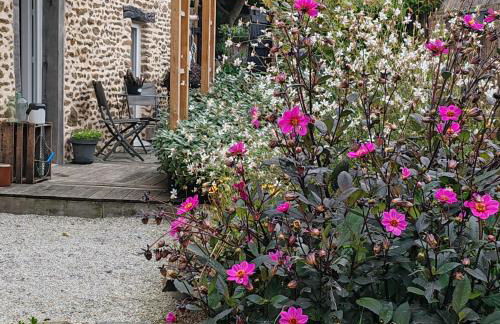 Le gîte du courtil - Foto 2