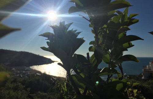 Il gabbiano, attico con terrazzo vista mare - Foto 24