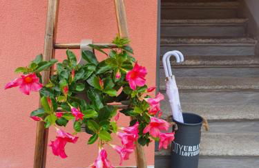 Corte Sant'Andrea - Apartments near Bellagio Beach - Foto 9